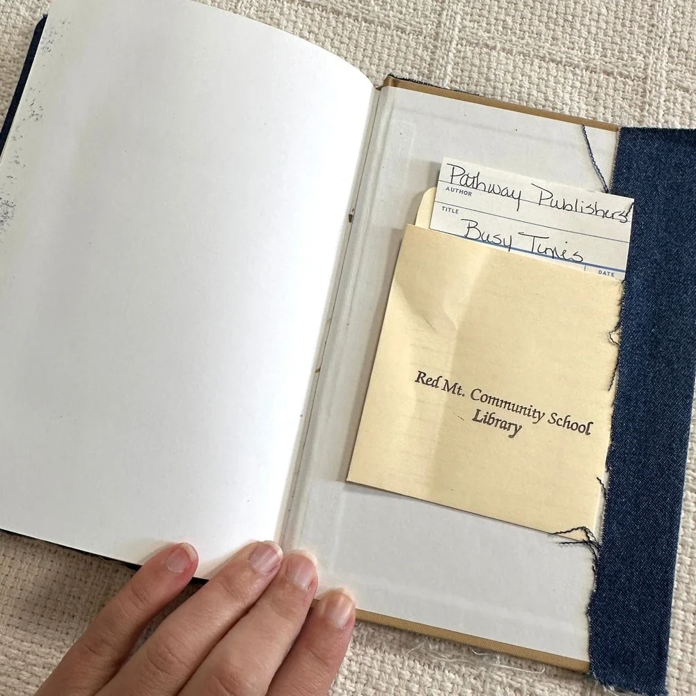 VTG Busy Times Pathway Reading Series Grade 2 Textbook Denim Bird‎ Cover